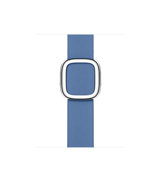 41mm Azure (blue) Modern Buckle features smooth, top-grain Granada leather from a small French tannery.